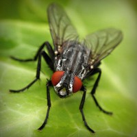 /album/riaseredis/photolia-a01-jpg/