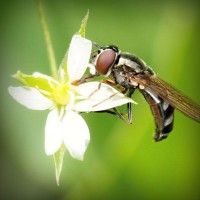 /album/riaseredis/photolia-a02-jpg/