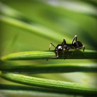 /album/riaseredis/photolia-a05-jpg/