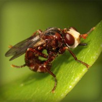 /album/riaseredis/photolia-a06-jpg/