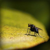 /album/riaseredis/photolia-a07-jpg/